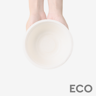 Biodegradable disposable bowls