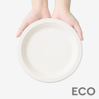 Biodegradable dinner plates